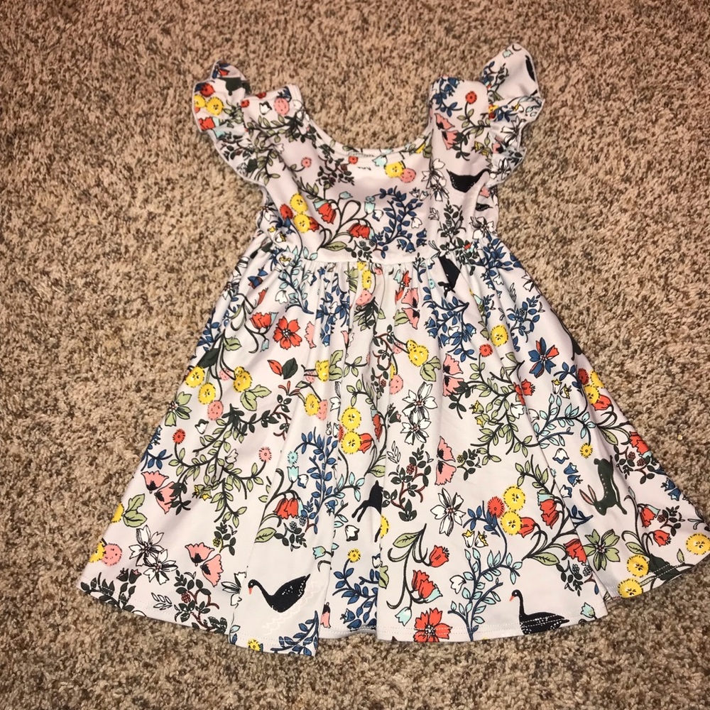 Flutter sleeve dress size 12-24 months